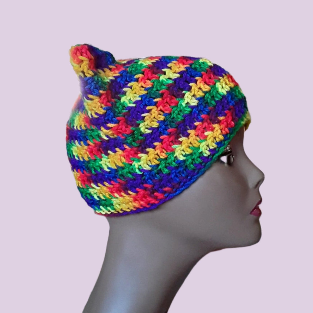 Rainbow Cat Hat with Ears