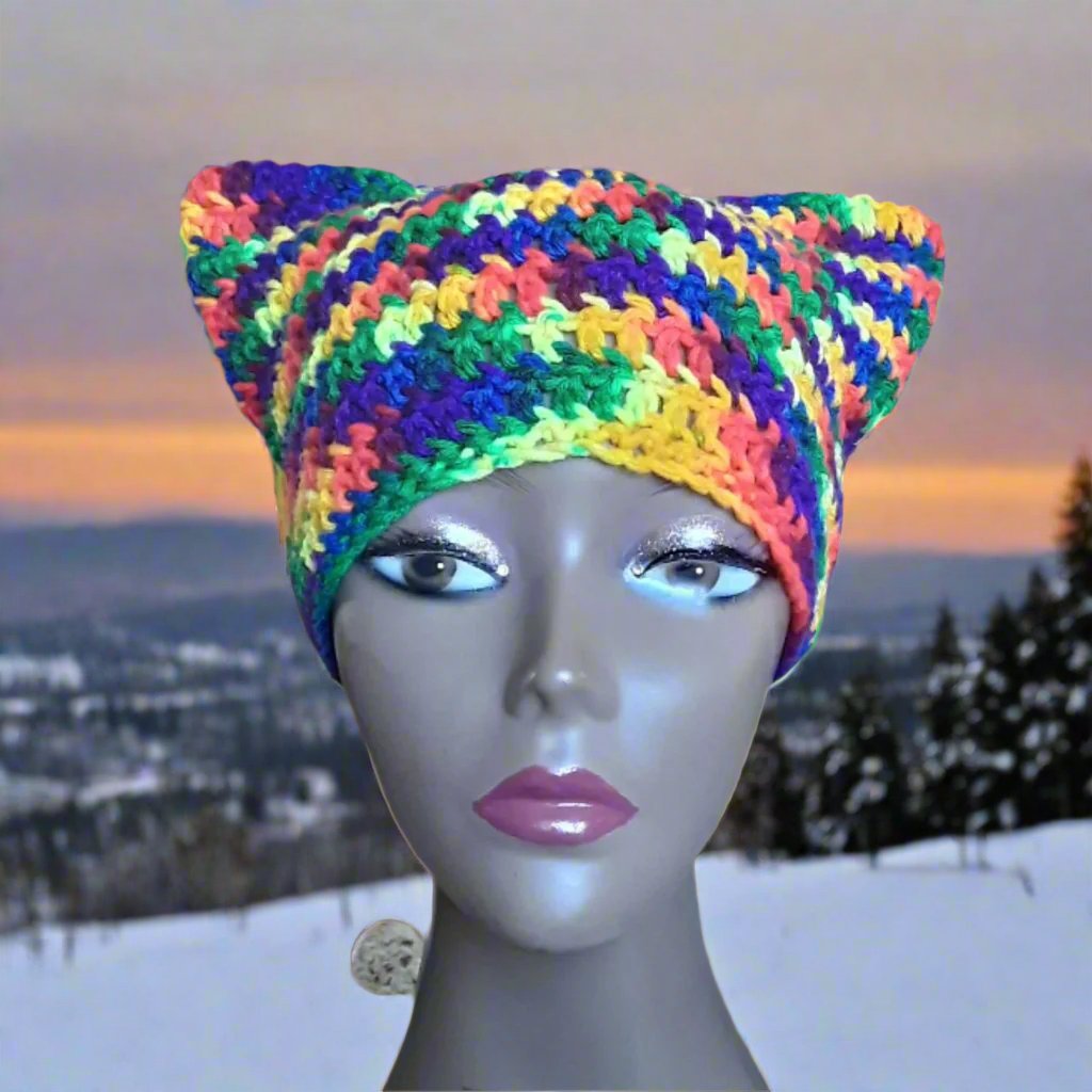 Rainbow Cat Hat with Ears