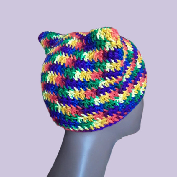 Rainbow Cat Hat with Ears