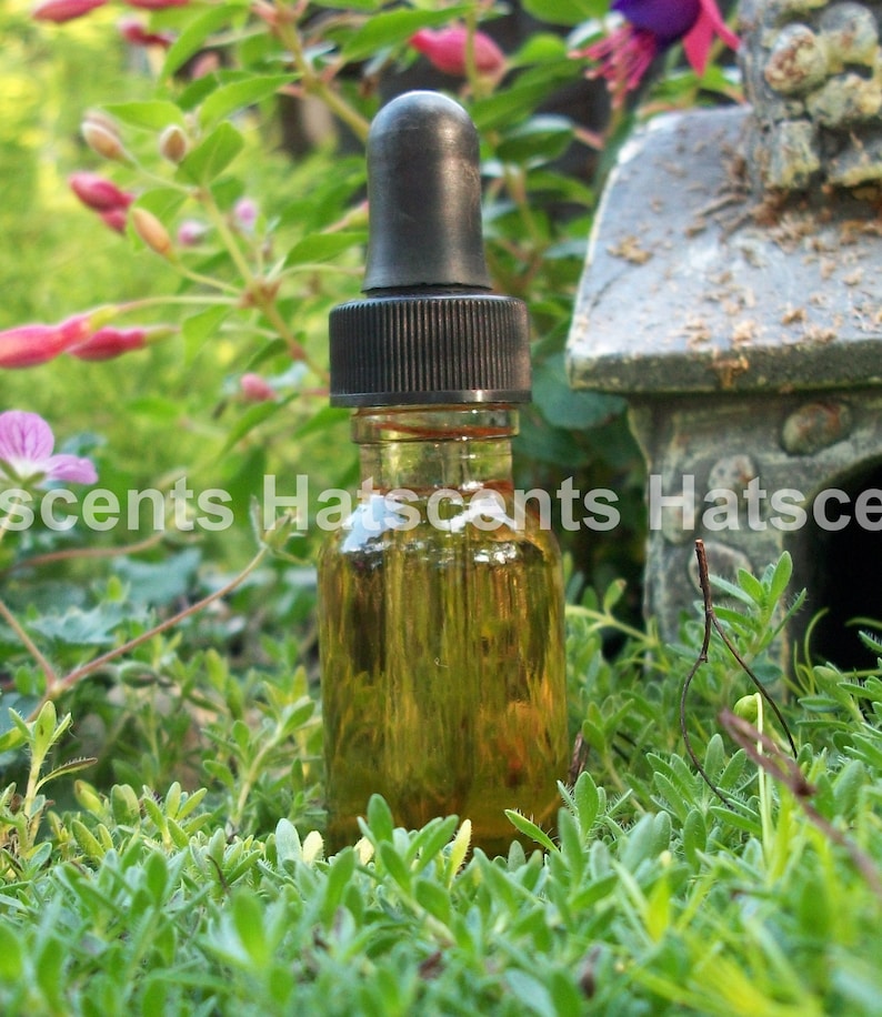 One Fragrance Oil 1/2 Ounce Dropper Bottle and 2 oil samples for Perfume Cologne Oil Difuser Bath and Beauty Products - Image 3