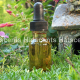 One Fragrance Oil 1/2 Ounce Dropper Bottle and 2 oil samples for Perfume Cologne Oil Difuser Bath and Beauty Products - Image 3