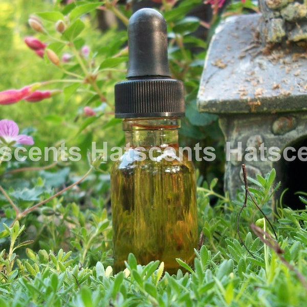 One Fragrance Oil 1/2 Ounce Dropper Bottle and 2 oil samples for Perfume Cologne Oil Difuser Bath and Beauty Products - Image 3