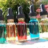 One Fragrance Oil 1/2 Ounce Dropper Bottle and 2 oil samples for Perfume Cologne Oil Difuser Bath and Beauty Products