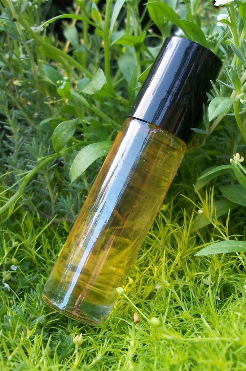 Bark and Spice type Oil Fragrance Perfume Cologne Roll On 1/3 Ounce 10 ml and one free oil sample - Image 2